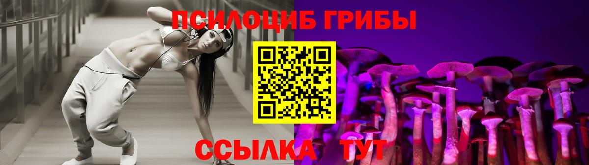 Псилоцибиновые грибы Psilocybe  Вход с VPN  Приморско-Ахтарск 
